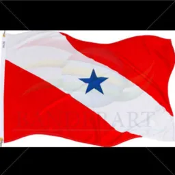 OS PATRIOTAS 33 PARA
