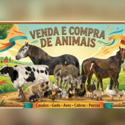 VENDA TUDO RELACIONADO A ANIMAL(Caxias-ma)