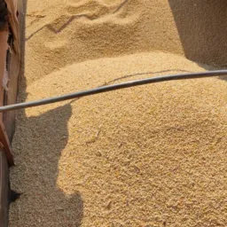 Vendas Rurais - Capão Seco 🏡🌽