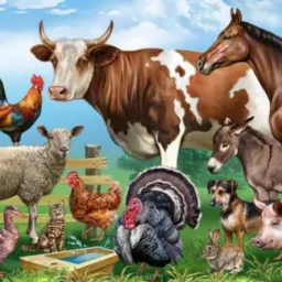 VENDA TROCAS E DOAÇÕES DE AVES E ANIMAIS.🙊😻