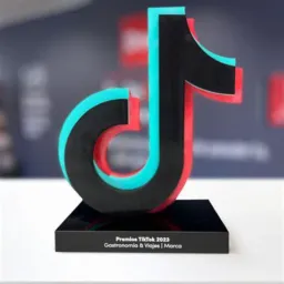 Link Tik Tok ! RECIPROCO
