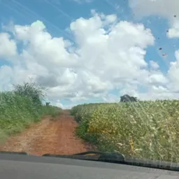Fazenda Monte Alegre Fazenda rio verdinho