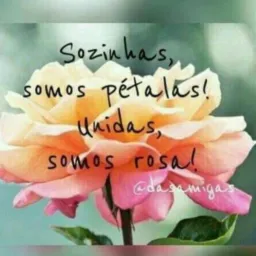 Grupo de Oração 🙇🏻♀️🙏🏻🔥ROSAS DE SARON 🌹🌹🌹