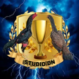 STUDIO DN 💸🪶( Minas gerais🧀)
