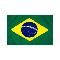 UNIDOS PELA DEMOCRACIA 🇧🇷