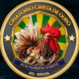 Criatorio crista De Ouro