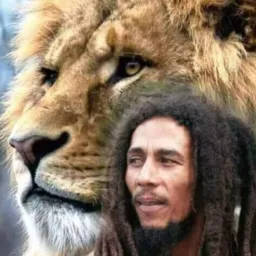 Só reggae