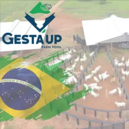 🇧🇷 Venda Propriedades - Gesta'Up Company 🇧🇷