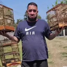 Depois de feito é coragem 😅 🦅🦜
