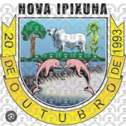 BAZAR VENDAS E TROCAS NOVA IPIXUNA