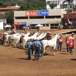 Empregos no MM -