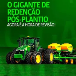 Grupo de trabalho aruana região