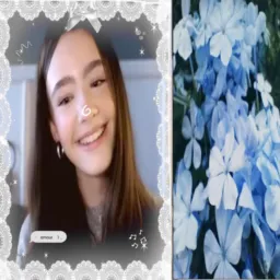 🌙 ✦ ⋆ 𓂃 𝓕riends virtuais
★ - ୨୧