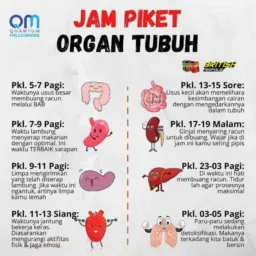 2️⃣ INDAHNYA SEHAT