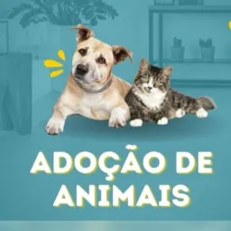 DOAÇÕES DE ANIMAIS  SF
