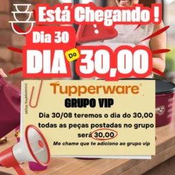 Tupperware/ dia de 30,00