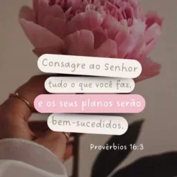 Arara da pri , peças novas e semi novas