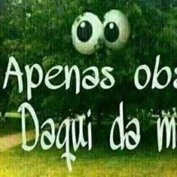 🌴🌳🌱Há MoiTa Tá FheChaNo🌳🌴🌿