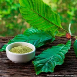 Medicamentos Naturais