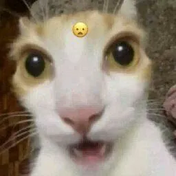 valeu natalina
