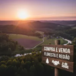 Compra e venda floresta e região
