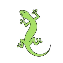 Vendas lagarto 🦎