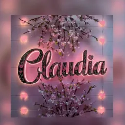 Claudia moda👗