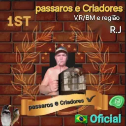 ✅Passaros e criadores (Oficial)🇧🇷🤝