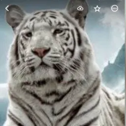 Votorantim grupo novo