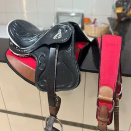 Rifa de uma sela ou 1.200,00 reais