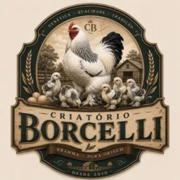 Criatório Borcelli 🐓🦚🦃🐇🐄🐎🦆🐣🐕🐈🐖🐏