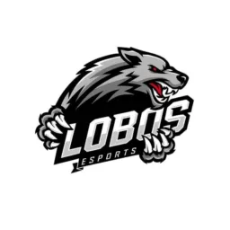 LOBOS FC (SELETIVA)
