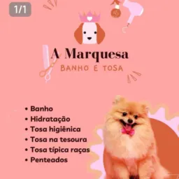 A Marquesa Estética Pet