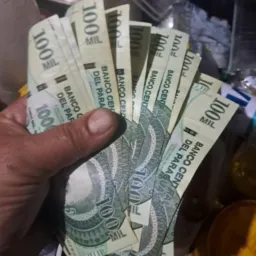 Compra e venda coronel Sapucaía e capitan bado