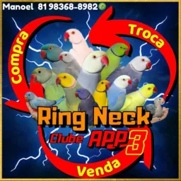 Clube do ring neck com preço