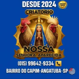 🙏🏻 CRIATÓRIO NOSSA SENHORA APARECIDA RIFAS,VENDAS DE OVOS,VENDA DE ANIMAIS