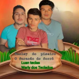 Os fãs do Wesley do piseiro 2024🎹🎧