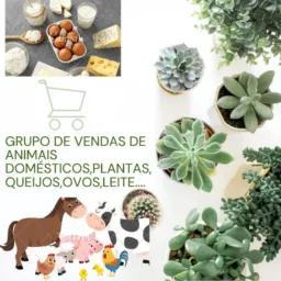 Venda e Troca de animais🐷🐴🐣🐔