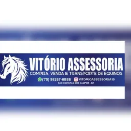 VITÓRIO ASSESSORIA 🐴