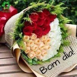 GRUPO AMIGOS PARA SEMPRE ❤️😋 🔥