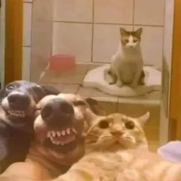 Grupo dos amigos 🤓☝🏻