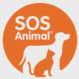 SOS Animais Caxias -Ma