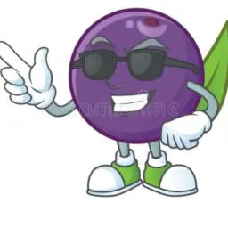 ✅TOP AÇAÍ DO NIS🫐
