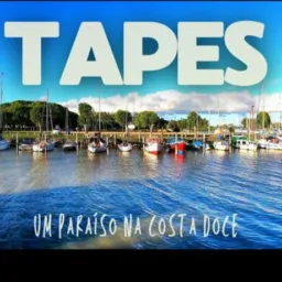 Novo Brique De Tapes!💲💵💰💸