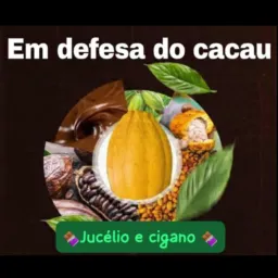 EM DEFESA DO CACAU RESERVA 🍫