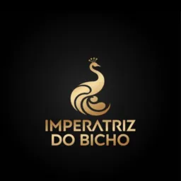 Palpite jogo imperatriz hoje 🦚