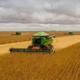 22 Grupo de vendas de Brasnorte