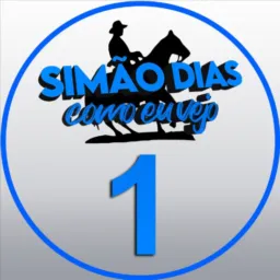 Simão Dias Como eu Vejo 1