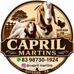 CRIADOR DE SORTE🍀