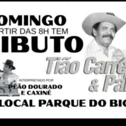 Música de Tião Carreiro🎸🎼🎤